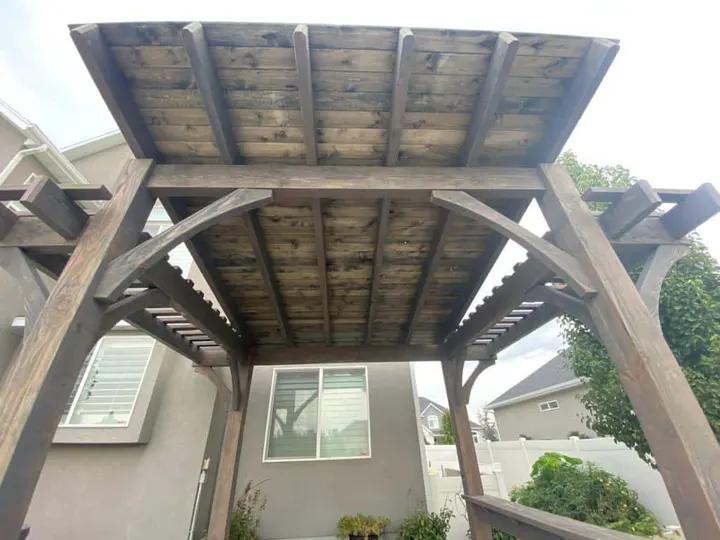 Upward view of curved timber braces and pergola roof