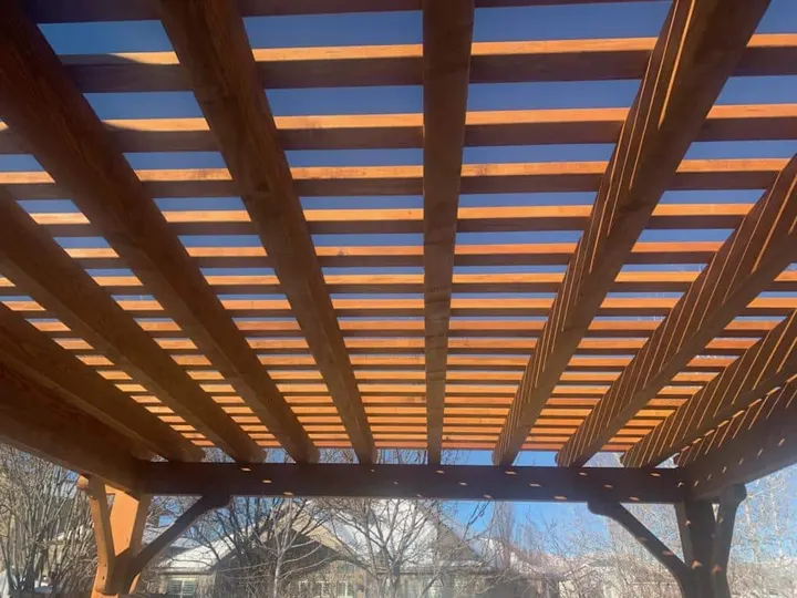 Upward view beneath an open-lattice pergola roof